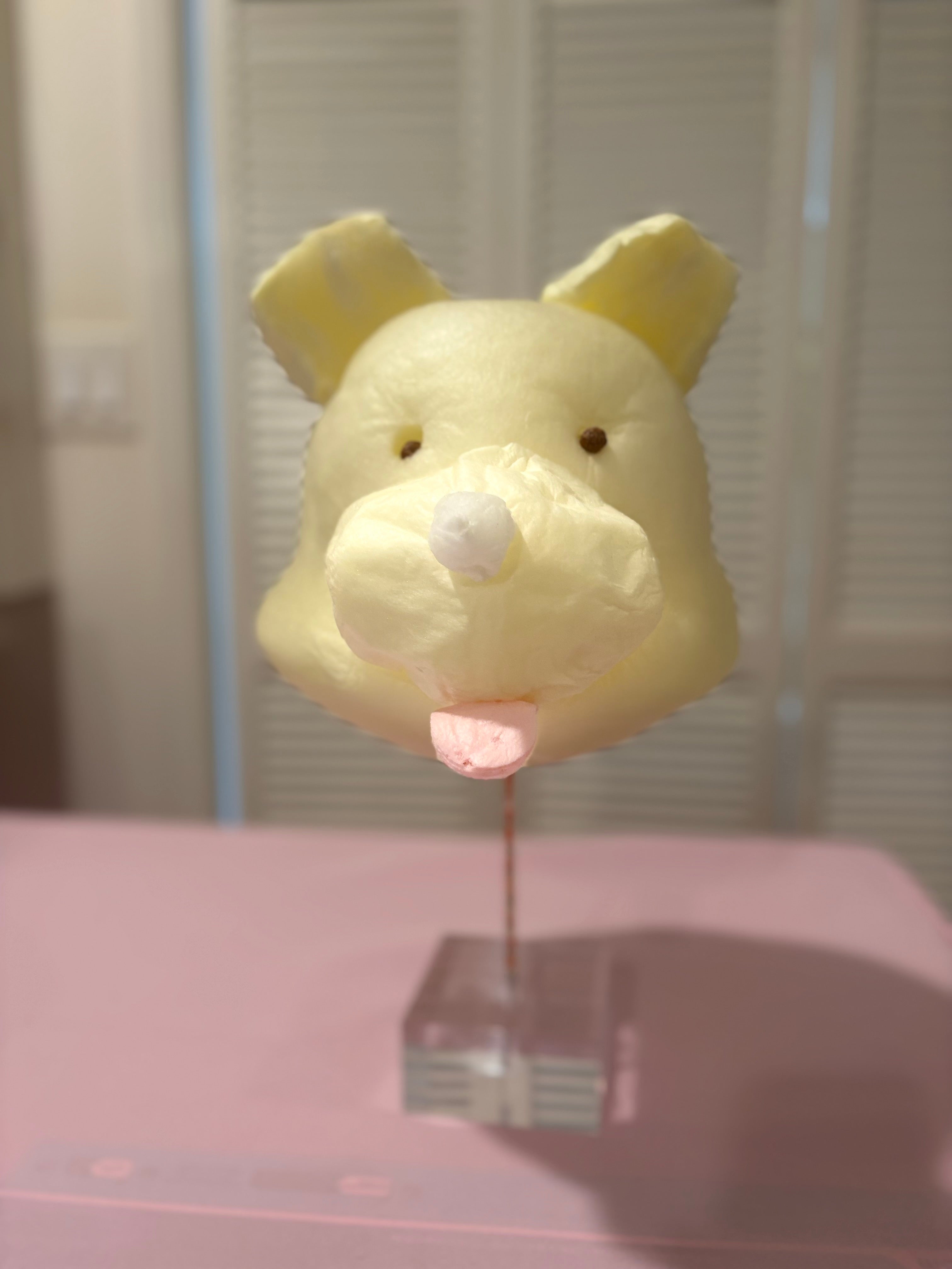 Honey Bear Cotton Candy