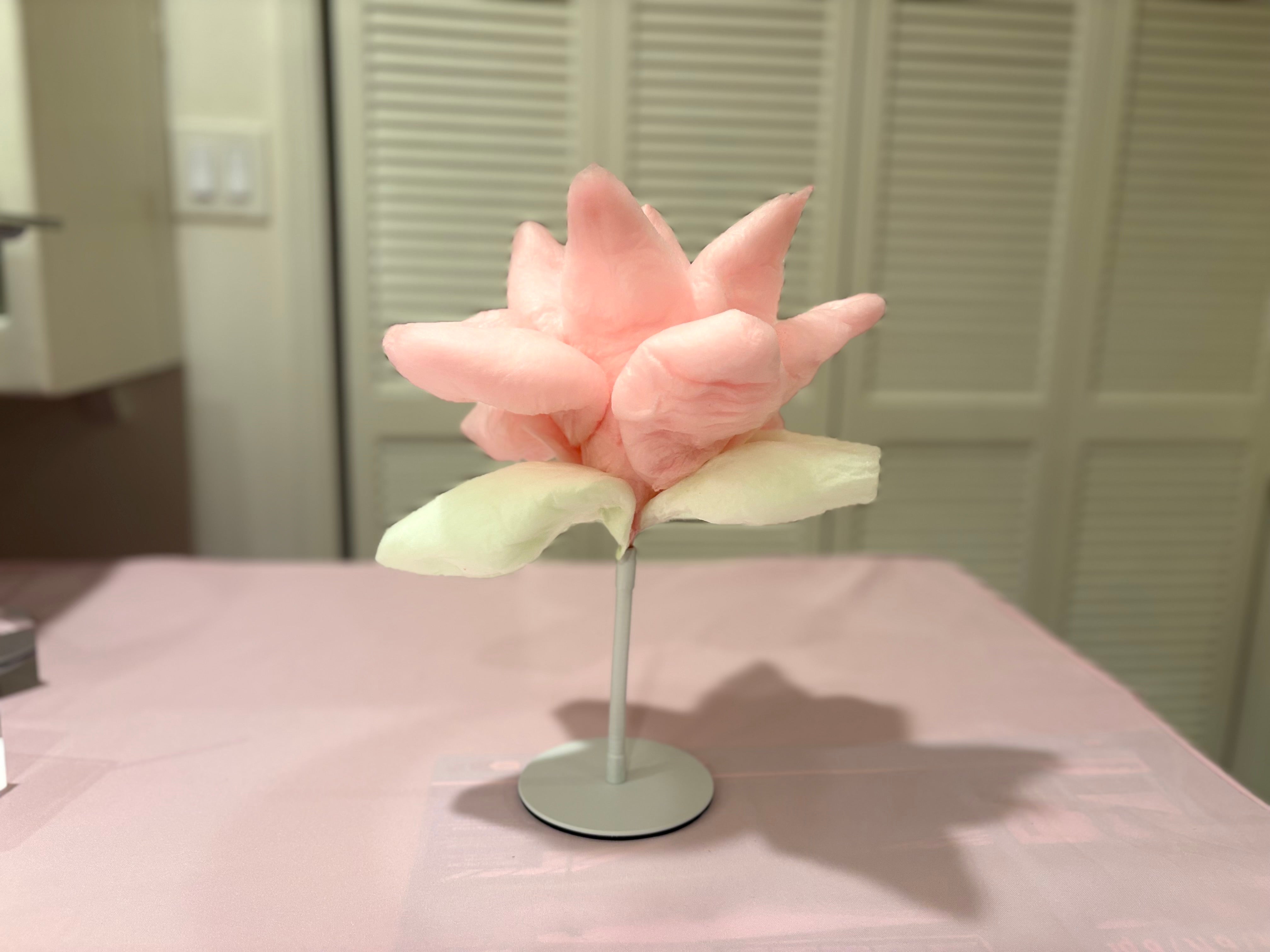 Blushing Blossom Cotton Candy.